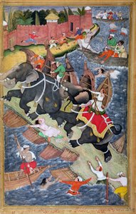 Akbar oswaja dzikiego słonia, Hawa